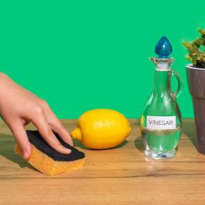 Global Vinegar Market Size, Trends, and Growth Forecast to 2033