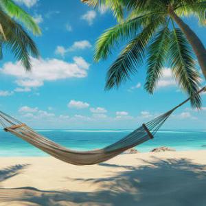 Global Hammock Market Size, Trends, and Growth Insights (2026-2033)
