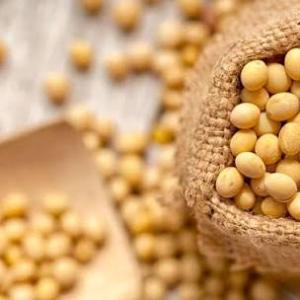 Isoflavones Market: Size, Trends, Investment, and Growth Outlook 2026-2033