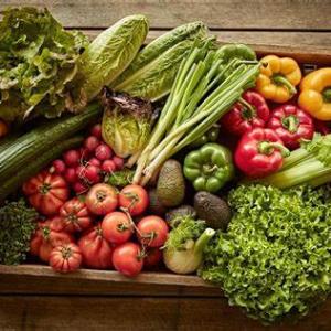 US Organic Foods Market Growth and Opportunities: Size, Trends, and Insights