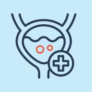 Overactive Bladder Treatment Market Size, Revenue, and Growth Forecast 2026-2033