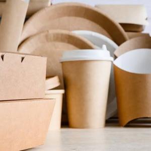 Paper Packaging Market Size, Trends, and Growth Opportunities 2026-2033