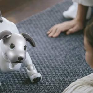 Pet Robot Market Size, Trends, and Growth Outlook 2026-2033