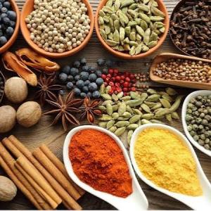 Global Spices and Seasonings Market Size and Growth Outlook 2026-2033