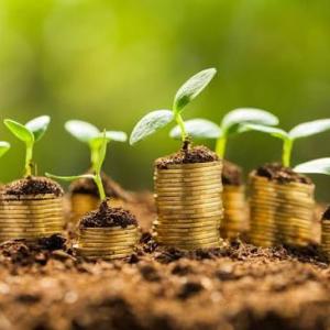 Sustainable Finance Market: Size, Trends, and Growth Opportunities