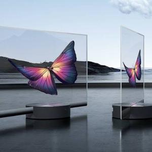 Transparent Display Market Growth and Dynamics: Size, Trends, and Opportunities