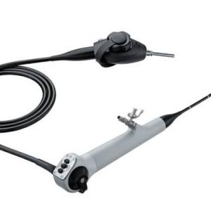  U.S. Cystoscopy Market: Size, Trends, and Growth Opportunities