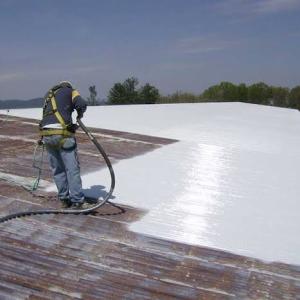 Elastomeric Coating Market Size, Trends, and Growth Forecast 2026-2033