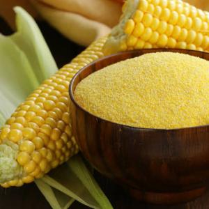 Global Corn Fiber Market: Size, Trends, Drivers, and Forecast Analysis