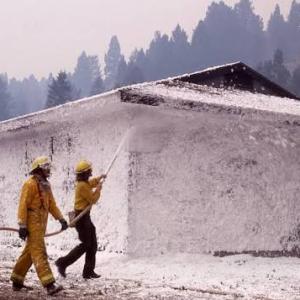 Firefighting Foam Market Size, Trends, and Growth Forecast 2026-2033