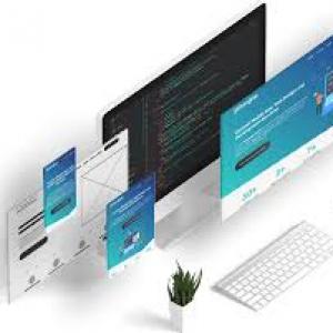 Stand out in Proliferation of Custom Web Design and Development