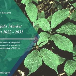 Panax Quinquefolis Market Research by 2022-2031