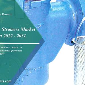 Simplex Basket Strainers Market Forecast Till 2031 | By R&I