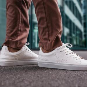 Sustainable Sneaker Market Global Insights, Forecasts to 2024-2032