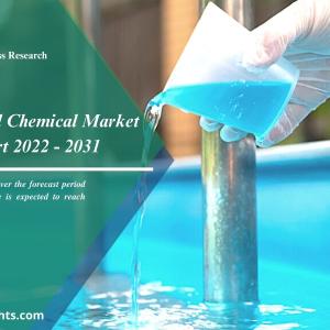 Swimming Pool Chemical Market Insights and Trends 2031