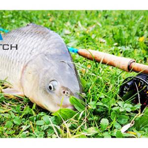 Major features of carp fishing with a fly rod