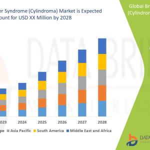 Brook Speigler Syndrome (Cylindroma) Market Competitive Landscape, Strategies by 2028