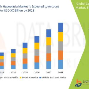 Cartilage Hair Hypoplasia Market Revenue by 2028