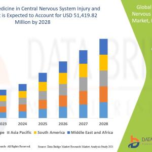 Nanomedicine in Central Nervous System Injury and Repair Market Growth Report Till 2028