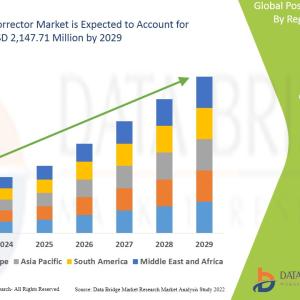 Posture Corrector Market Demand Overview by 2029