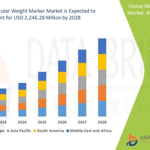 Molecular Weight Marker Market Growth Opportunities by 2028