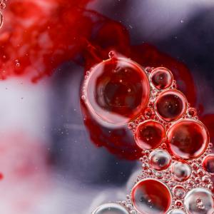 Cord Blood and Cell Banking Market Growth Opportunities by 2029