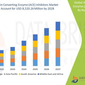 Angiotensin Converting Enzyme (ACE) Inhibitors Market