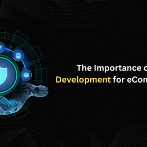 The Importance of Secure Web Development for eCommerce Businesses