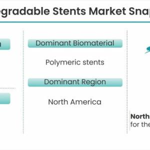 Biodegradable Stents Market Expected to Rise at A High CAGR