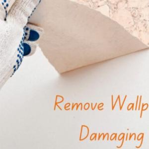 Wall Paper Installation Sydney: Remove Wallpaper the Right Way