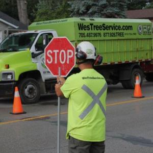 Affordable Tree Service Muskoka | Certified Arborists