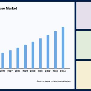Carboxymethyl Cellulose Market Revenue Analysis Across Food, Cosmetics