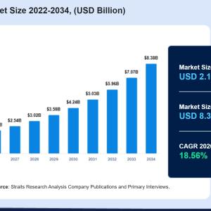 E-Scooter Sharing Market Size, Share, and Growth Forecast Through 2035
