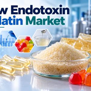 Low Endotoxin Gelatin Market Trends in Drug Delivery and Tissue Engineering