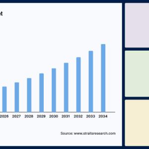 Video Analytics Market Revenue Analysis Across Retail, Transportation, and Public Safety Sectors