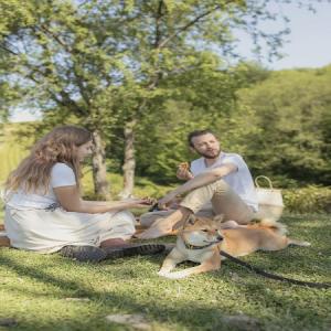 Dog Poop Removal: A Win-Win for HOA Members and Pet Owners