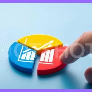 The Importance of Hotel Segmentation