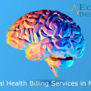 Mental Health Billing Services in Maine -