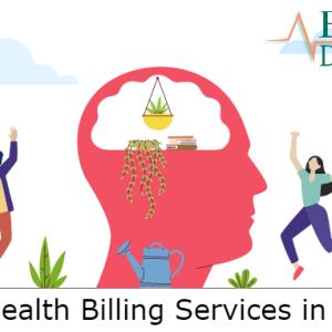 Mental Health Billing Services in Vermont