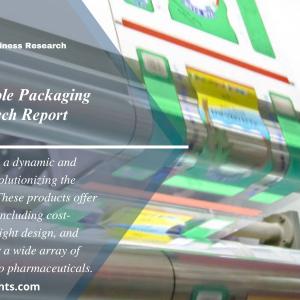 ASEAN Flexible Packaging Market Size, Share & Trends | 2024-2032