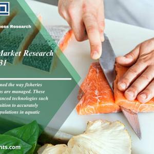 Fish Counters Market Size [2022-2031] Global Growth| Industry Analysis