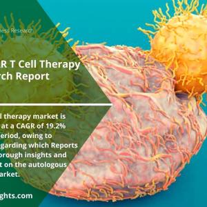 Autologous CAR-T Cell Therapy Market Research Based on Market Report 2031
