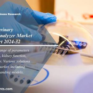 Automatic Veterinary Biochemistry Analyzer Market Size, Share, Analysis 2024-2032