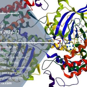 Catalase Market Size | Report 2024-2032