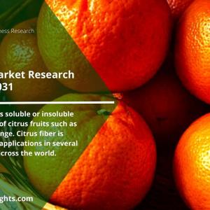 Insight on Citrus Fiber Market Driving Factors Trends Size Share Key Players Facts