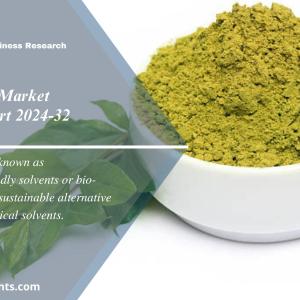 Green Solvent Market Size, Share, Growth Report 2024-2032