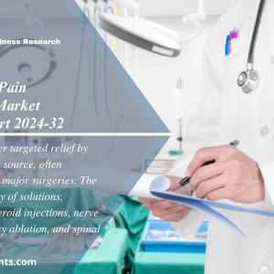 Interventional Pain Management Market Size, Share & Report 2024-2032