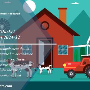 Organic Lamb Market Size, Share | Research Report 2024-2032