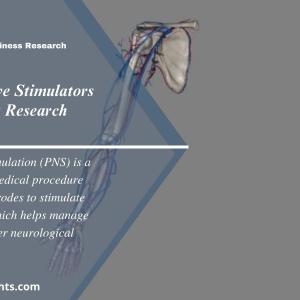 Peripheral Nerve Stimulators (PNS) Market Size & Report Overview 2024-2032