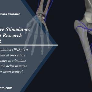 Peripheral Nerve Stimulators (PNS) Market Size, Industry Share, Forecast 2024-2032